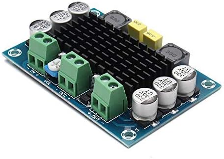 DHRUVPRO XH-M542 Mono 100W Digital Power Amplifier Board Digital Audio Amplifiers