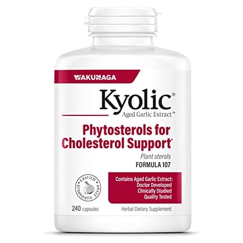 Kyolic Aged Garlic Extract Formula 107, 240 Capsules Cover