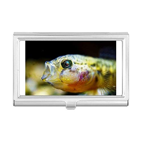 Carteira com porta-cartões pequenos de visita com organismo marítimo