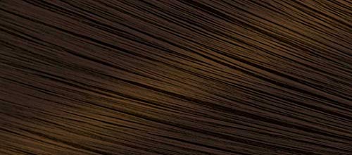 Bigen Speedy Conditioning Color Kit: 4 Chestnut - 3 Pack #TOP1