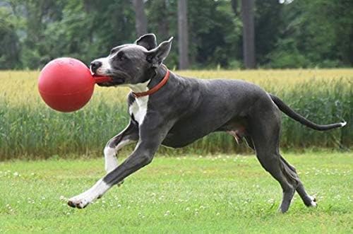 Jolly Pets Tug-n-Toss Dog Toy, 15 cm, Red, 6 Inches/Medium - Image 5