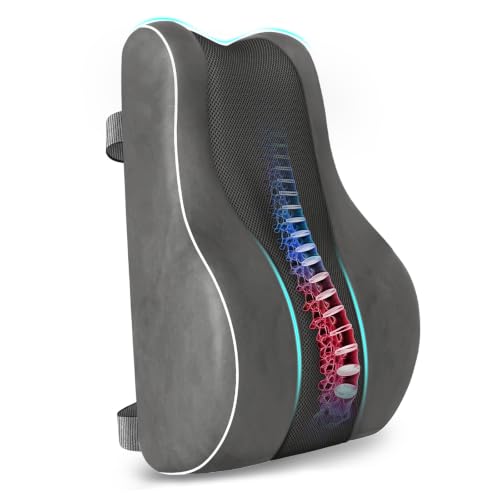 CloudBliss Lumbar Support Pillow, Memory Foam for Office, Standard, Gray