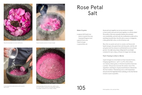 Image of The Noma Guide to Building Flavour: Including recipes and techniques for sauces, butters, broths, reductions, preserves, vinaigrettes, flavoured salts, and infused oils (Foundations of Flavor)