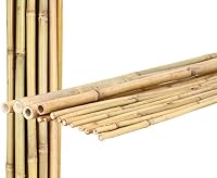 1 Stück Tonkin Bambusrohr 100cm naturbelassen, Durchmesser 2,0 bis 2,4cm - 1m Bambusstab dünn unbehandelt – Ansicht 3
