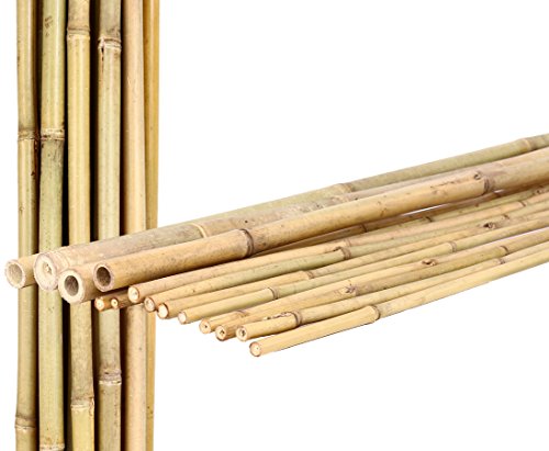 10 Stück Bambusstangen 200cm, Durchmesser 2,2-2,4cm, Rankhilfe Garten