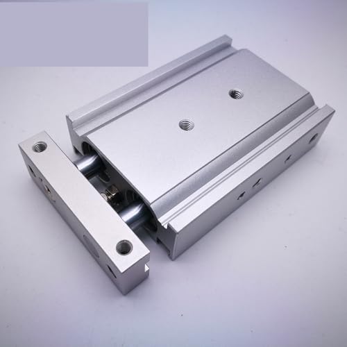 Vérin double CXSM25-60 à double tige guidée pour automatisme - 6