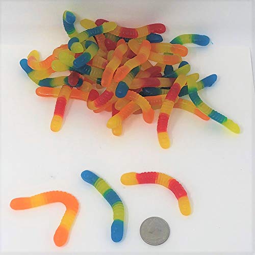 Vidal Sugar Free Sour Candy Gummie Worms 2.2 Pounds Bulk bag - image 1