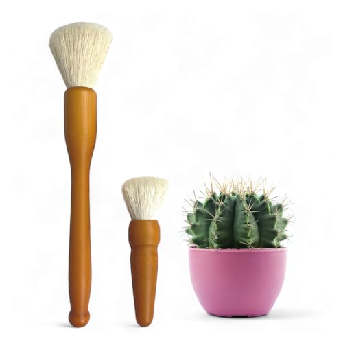 Southside Plant Cactus & Succulent Plants Cleaning Brushes - Wooden Handles w/Soft Goat Hair...