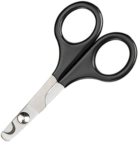 Master Grooming Tools Pet Nail Scissors — Stainless Steel Scissors for Trimming Nails on Cats and Birds - Medium, 5"