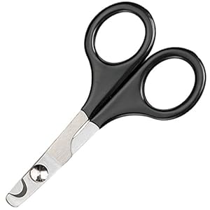 Master Grooming Tools Pet Nail Scissors — Stainless Steel Scissors for Trimming Nails on Cats and Birds – Medium, 5″