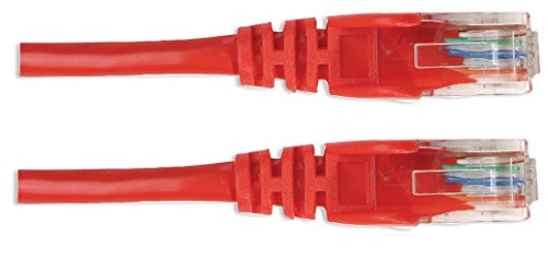 Cable de red Intellinet Cat6 UTP 10 pies RJ-45 miniatura 4