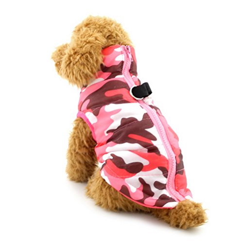 ZUNEA p R[g WPbg ʕ  p[J[ g h h Wbp[ n[lX _ExXg y ˊO^ h hbOEFA ^ Lp H~ sN M