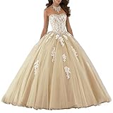 Vantexi Damen Elegante Spitze Tüll Abendkleid Abschlussballkleider Lange Ballkleid Brautkleider Champagner Größe 60