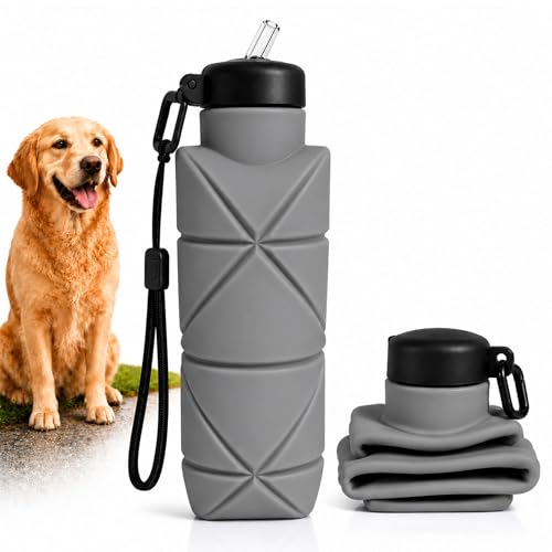 Botella Pipi Perros de 700ml, Sin Pérdidas y Plegable, Incluye Cuerda para Llevar Colgada, Silicona Libre de BPA, Botella Limpia Pipi Perro, Botella Pipi Perros Calle (Gris, 700ml)