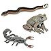Safari Ltd. Venomous Creatures TOOB - 9 Figurines: Toad, Snake, Ray, Komodo Dragon, Tarantula, Centipede, Scorpion, Stone Fish, Cobra - Educational Toy Figures For Boys, Girls & Kids Ages 3+