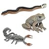 Safari Ltd. Venomous Creatures TOOB - 9 Figurines: Toad, Snake, Ray, Komodo Dragon, Tarantula, Centipede, Scorpion, Stone Fish, Cobra - Educational Toy Figures For Boys, Girls & Kids Ages 3+