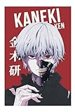 WOTGB Tokyo Ghoul Poster Kaneki Ken Japan Manga Personality Anime Decorative Painting Wall Art Canvas Posters Gifts 12x18 inch No Frame