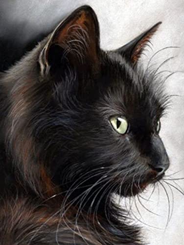 Point de croix chaton noir pre-imprime : brodez facilement sans compter