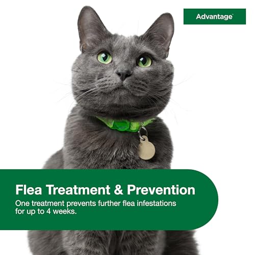 Advantage Topical Cat Flea Treatment and Prevention for Large Cats Over 9 lbs. | Apply Flea Drops Monthly | 2 Treatments - Image 7