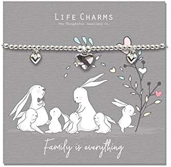 Life Charms Rosey Rabbit, Family Is Everything Silver Plated Bracelet, Beautiful Gift For Her, Women's, Ladies, Girl's