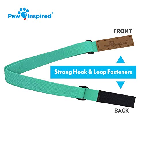 Image of Paw Inspired Dog Diaper Suspenders with Velcro Fasteners | Stretchy Adjustable Suspenders for Female and Male Disposable and Washable Diapers | Fits Small, Medium and Large Size Pets (M /L, Aqua)