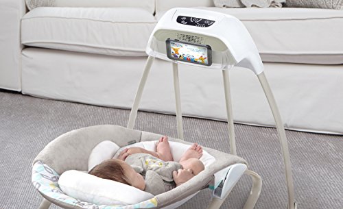 ingenuity smartsize 2 in 1