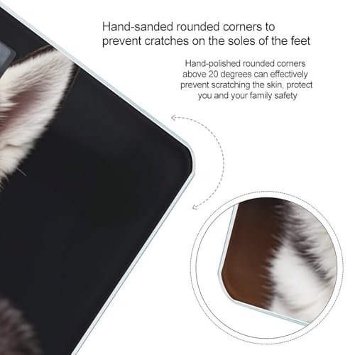 Báscula digital de baño Husky Dog con pantalla LCD grande miniatura 4