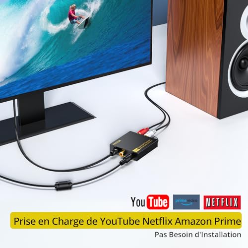 Décodeur Dolby DTS avec conversion optique vers RCA et stéréo 5.1 vers 2CH