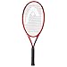 HEAD Radical 25 Racchette da Tennis, Unisex Bambino, Multicolore, 8-10 Anni
