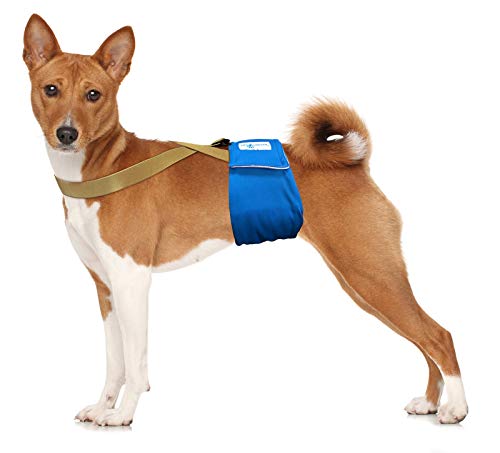 Image of PAW Inspired Dog Diaper Suspenders, Brown, Medium /Large