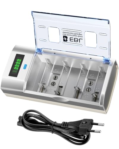 Cargador de Pilas Recargables para AA/AAA/C/D/9V con Función de Descarga