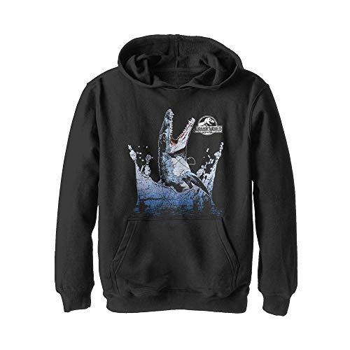 Jurassic World Boys' Hooded Sweatshirt - Product Details