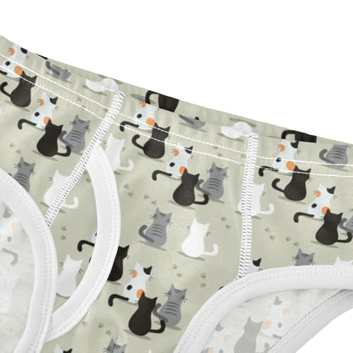 Boys' Exclusive Briefs Toddler Underwear 95% Combed Cotton Boxerbriefs 2T Cat Pattern 594