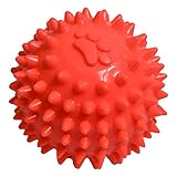 Fancy Pets Juguete para Perro Pelota de Caucho Spiny – Limpieza y Masaje de Encías | 6 cm | Material Seguro y Lavable