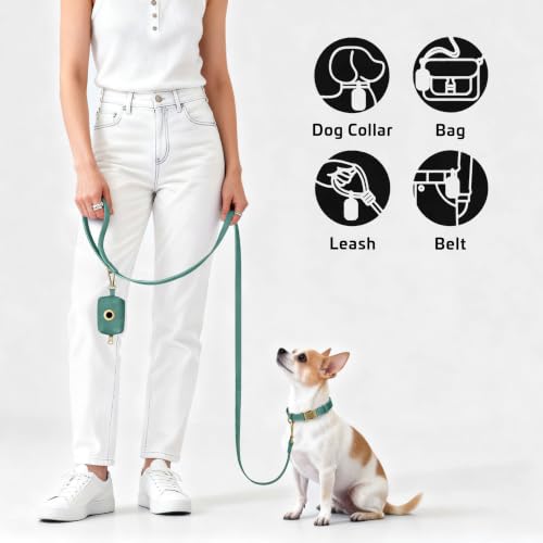 Image of Didog Dog Poop Bag Holder for Leash, Stylish PU Leather, Green