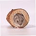 DOITOOL Solid Wood Pipe Toys Guinea Pig Tunnels Hamster Hideout Small Animal House