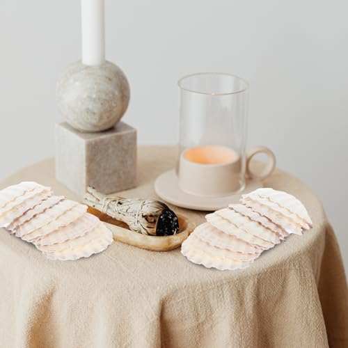 Conchas naturales de vieira CHILDWEET, placas grandes beige para manualidades y exhibición 5