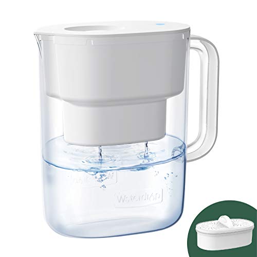 Waterdrop Lucid Water Purifier Water Filter Jug with 1×90 Days Filter, 3.5L, Reduces Fluoride, Chlorine and More, NSF Certified, BPA Free, White (Replacement Filter: WD-PF-01A Plus)