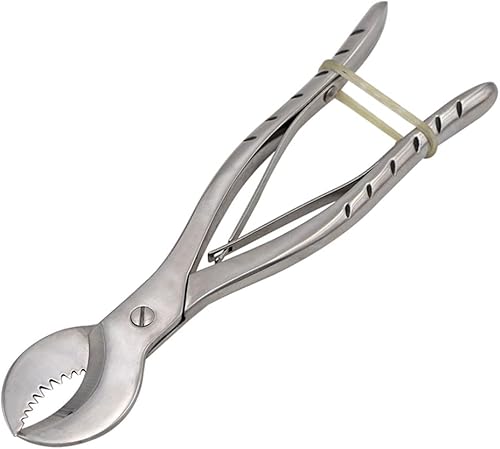 Alicates dentales Alicates de yeso Cortador Equipo de laboratorio dentista Acero inoxidable Yeso Tijeras Material Pequeño