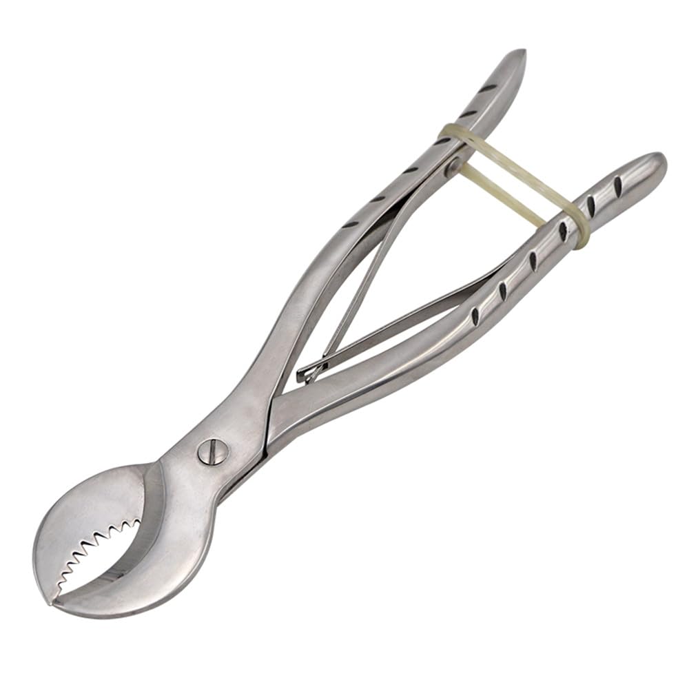 Dental Pliers Plaster Nippers Cutter Dentist Lab Equipment Stainless Steel Plaster Scissors Material Small