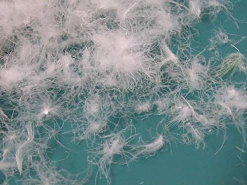 Bulk Goose Feather/Down Filling,100% Natural White Down,750+Filling Power,no Feathers-DIY,Make Your own Pillow,Comforter,Toy,Jacket,Sleepy Bags,Sofa-Sample (90% Goose Down, 200g)