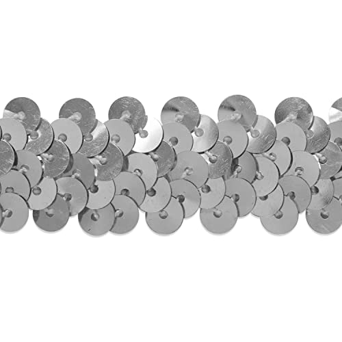 Trims by the Yard 2-Row Metallic Stretch Sequin Trim, 7/8-Inch Versatile Sequins for Crafts, Durable Sequins Trim for Sewing, 10-Yard Cut, Silver