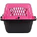 Petmate Dog Crates for Small Dogs & Cat Carriers, Two-Door Plastic Pet Kennel, Top & Front Loading, Made in USA, XS 19