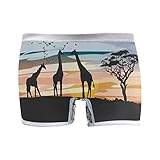 Montoj - Calzoncillos tipo bóxer para mujer (acacia y jirafas) 1 Large