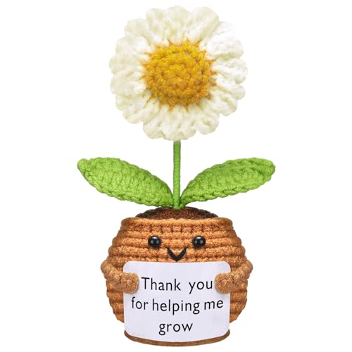 Wavwavw Christmas Teacher Appreciation Gift, Chamomile Flower