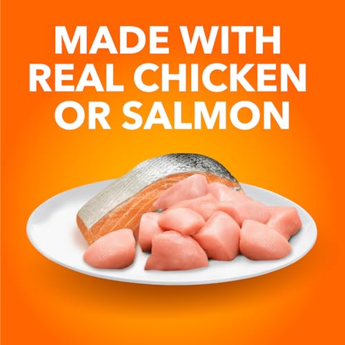 IAMS Perfect PORTIONS Healthy Adult Wet Cat Food Paté - Chicken and Salmon, 12CT Multipack, 75g Tray image 8