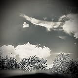 Photo Gallery off-axis