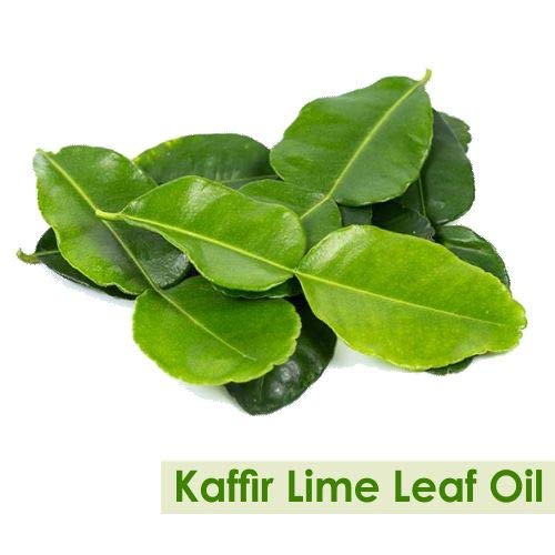 Image of B-Urban Kaffir Lime Leaf Oil 30 ml (1.01 fl oz) - Fresh Citrus-Green Oil for Haircare, Soap Making & DIY Blends
