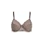 Bronzed Taupe/Rose Lnd