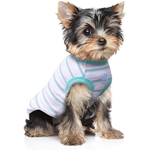SZAT PRO Striped Pet Dog T-Shirts, 100% Cotton Tank Vest for Small Dogs and Cats, Sleeveless Tank Top for Puppy Boys and Girls Green,Small Cover